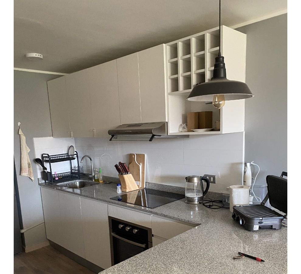 Arriendo Departamento NOSP 2D en suite 1B 1Bd Plaza Italia - Providencia