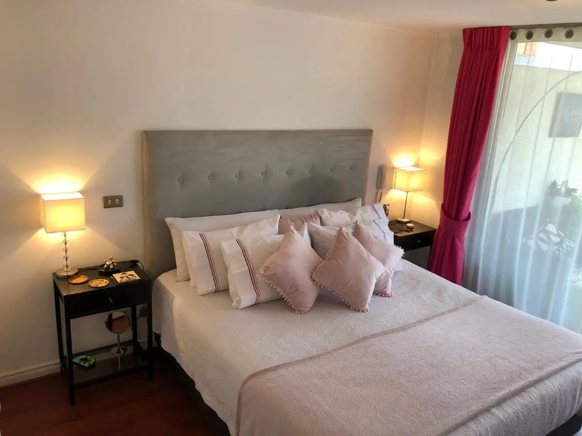 Venta Departamento 2D Los Leones - Providencia