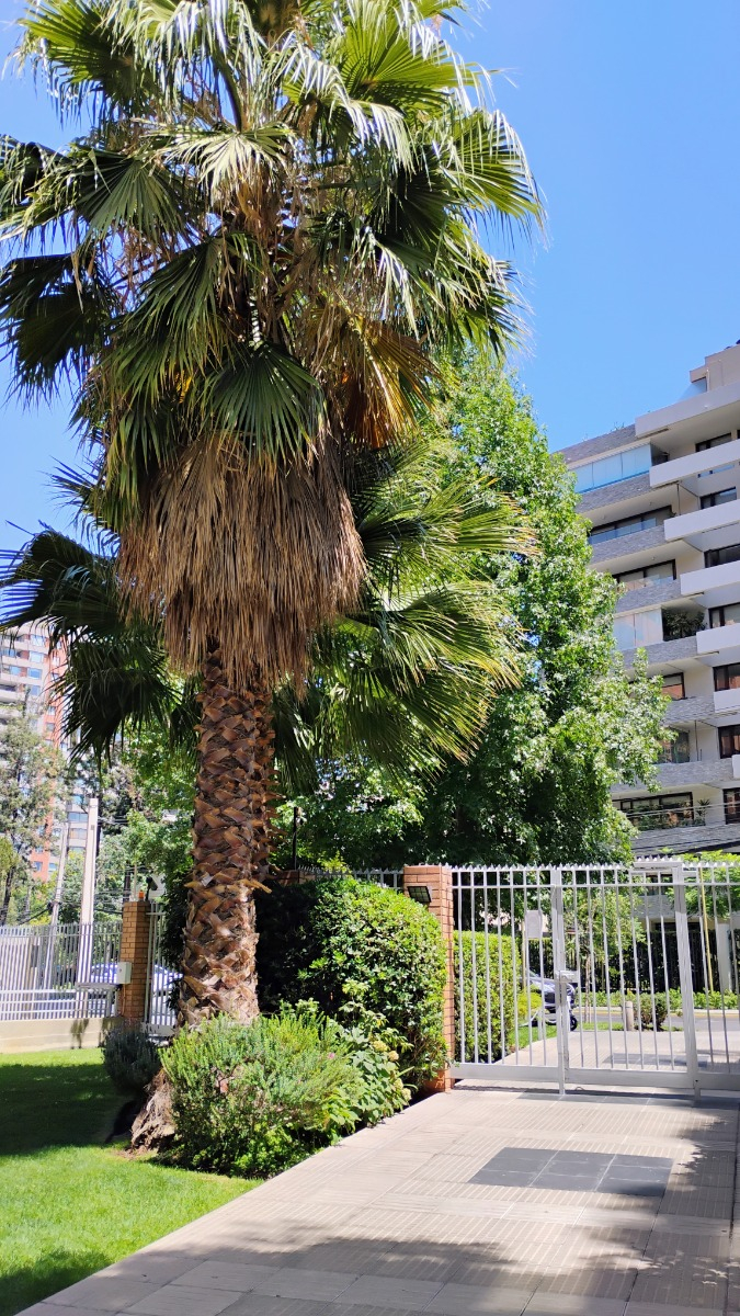 Arriendo Departamento N 2D en suite Walk-in cl&oacute;set 2B 1E 1B Sebasti&aacute;n Elcano - Las Condes