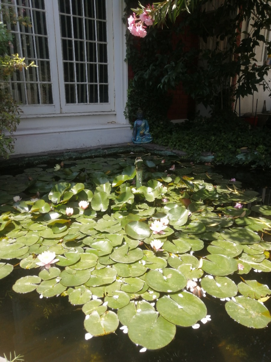 Venta Casa 6D 4B 6E 2B Metro Escuela Militar - Las Condes