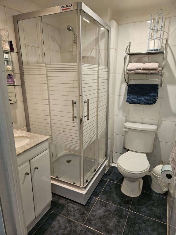 Venta Departamento 1D Los Leones - Providencia