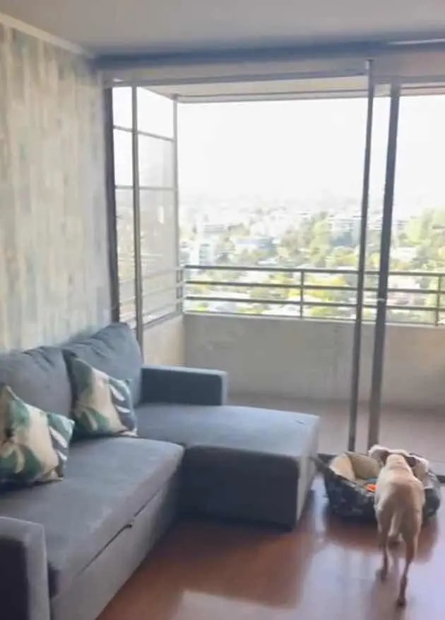 Arriendo Departamento 2D 2B 1E 1B Metro Sim&oacute;n Bolivar - &Ntilde;u&ntilde;oa