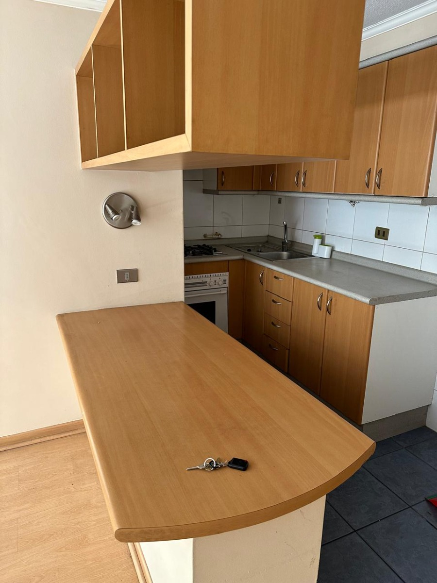 Arriendo Departamento NO 1D en suite Walk-in cl&oacute;set 1B 1E 1B  - Providencia