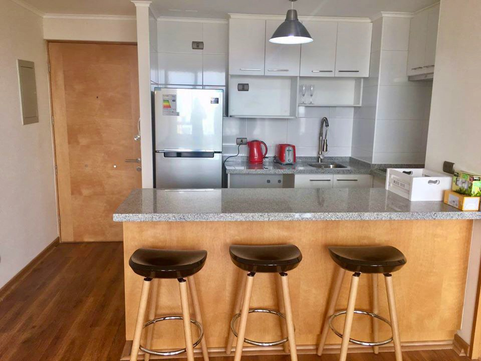 Arriendo Departamento P 1D en suite 1B 2E In&eacute;s de Su&aacute;rez - Providencia