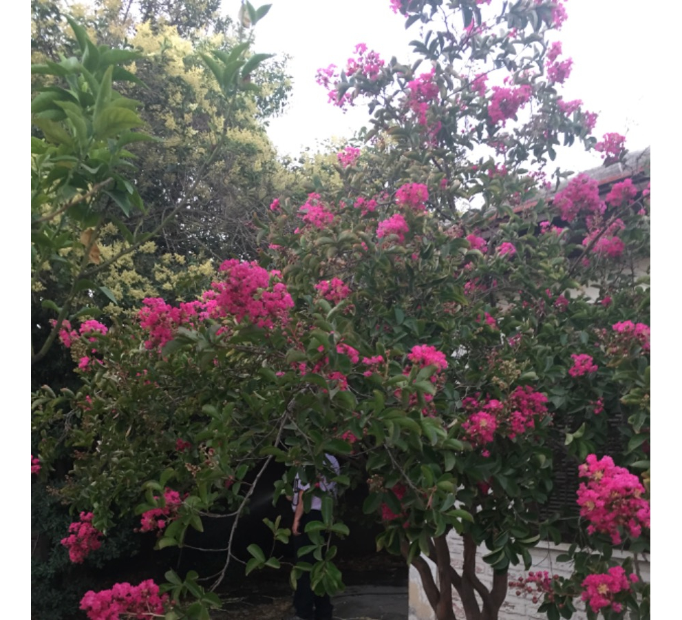 Arriendo Casa 3D Los Dominicos - Las Condes