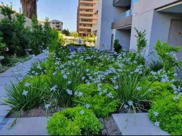 Arriendo Departamento NO 2D en suite Walk-in cl&oacute;set 2B 2E 1B Sebasti&aacute;n Elcano - Las Condes