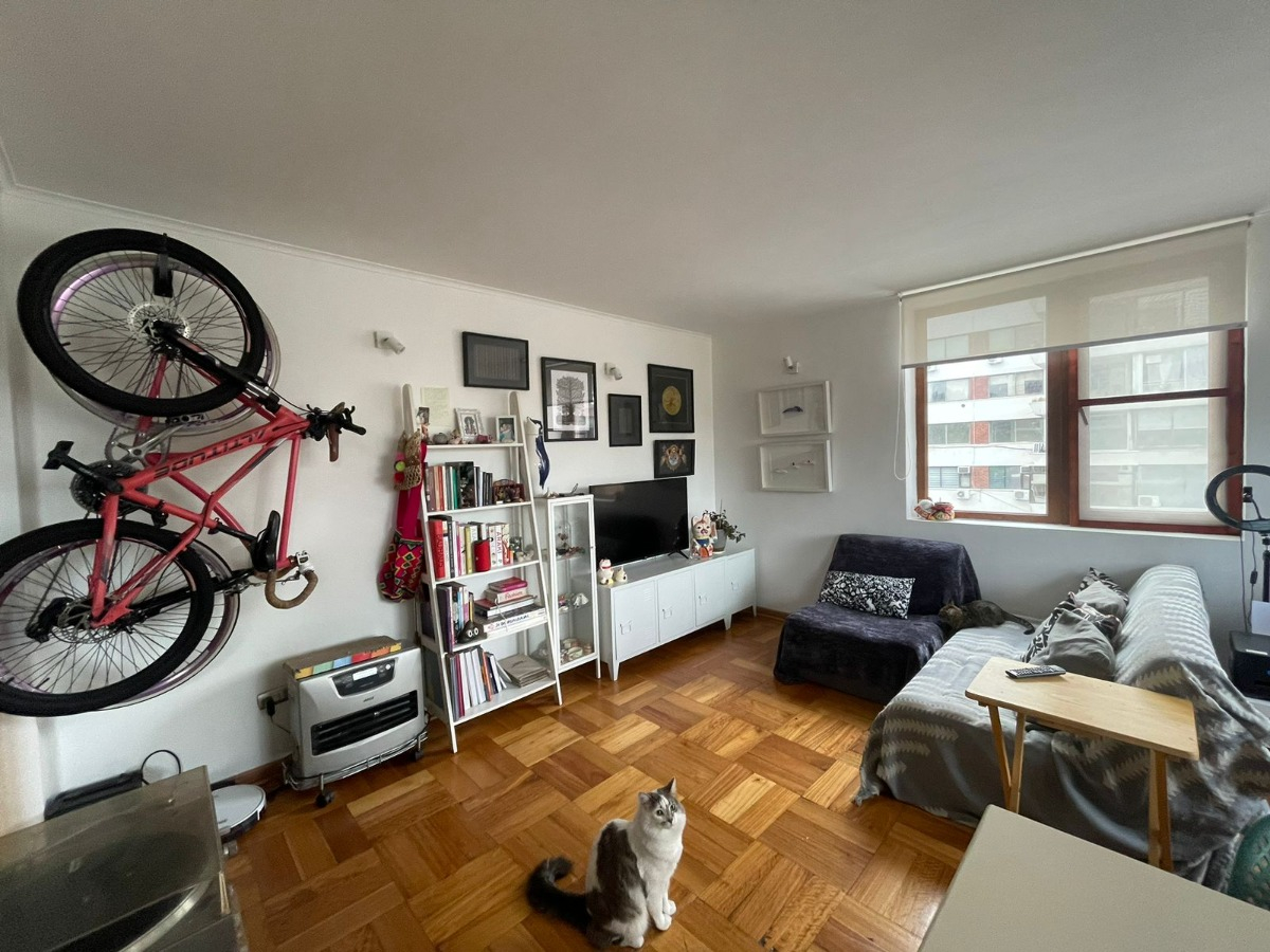 Arriendo Departamento SP 3D 2B  - Providencia