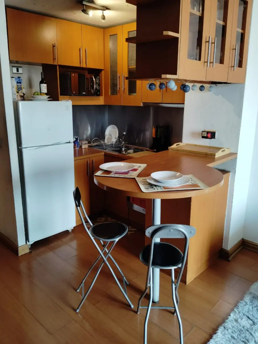 Venta Departamento 1D  - Providencia