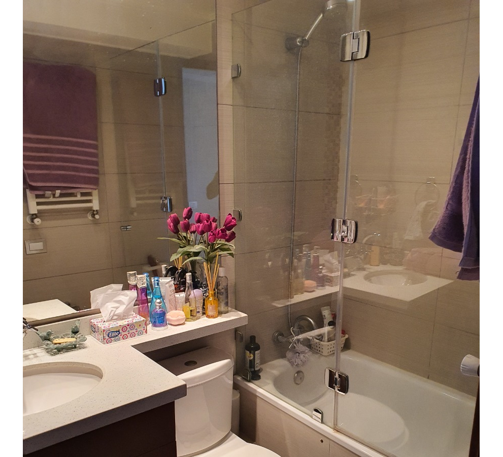 Venta Departamento SO 1D en suite Walk-in cl&oacute;set 1B 1E 1B Alto Las Condes - Las Condes