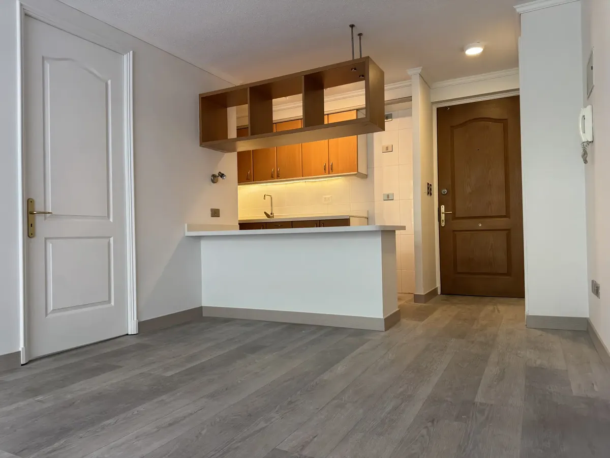 Venta Departamento S 1D WI cl&oacute;set Suite 1B 1E 1Bd  - Providencia