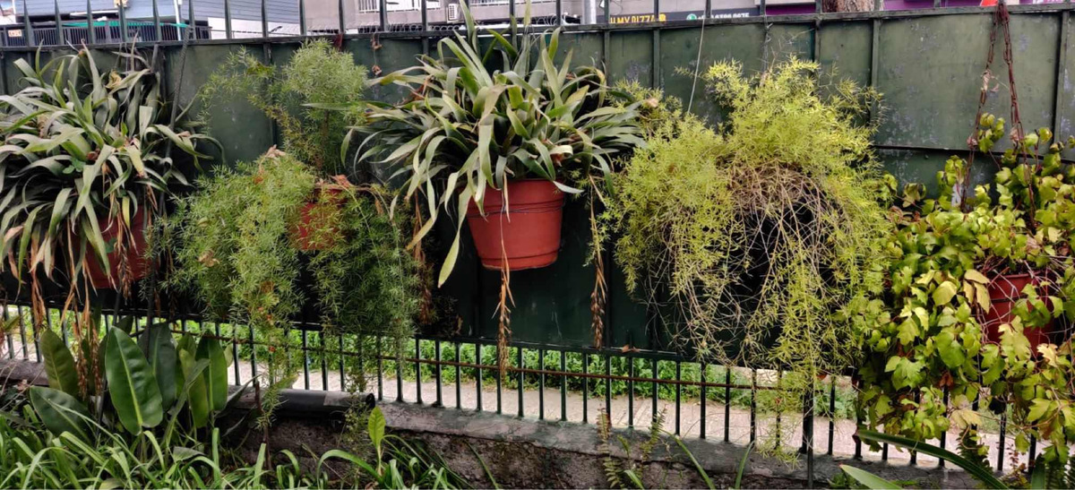 Venta Casa 3D 1B 2E Las Lilas - Providencia