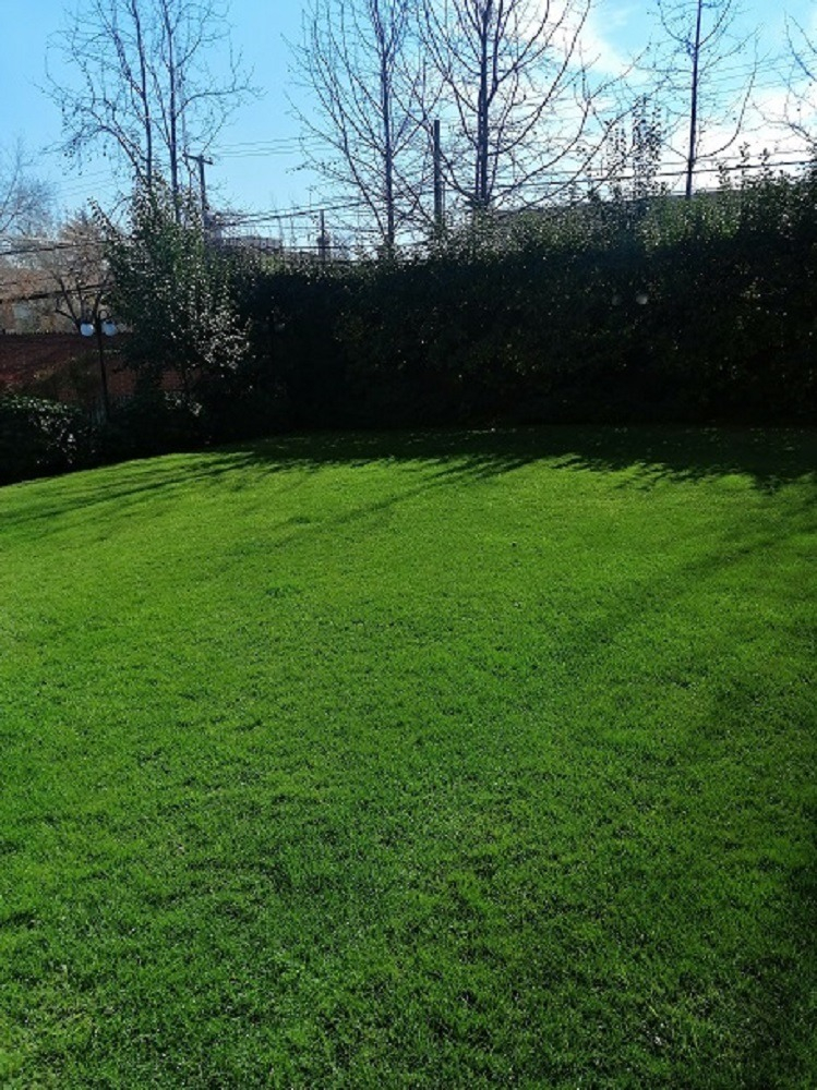 Arriendo Departamento S 2D en suite 2B 1E 1B Sebasti&aacute;n Elcano - Las Condes