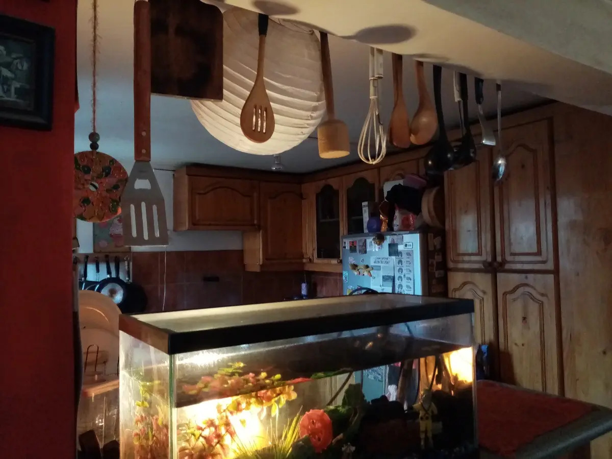 Venta Casa O 4D en suite 2B 2E Blest Gana - La Reina