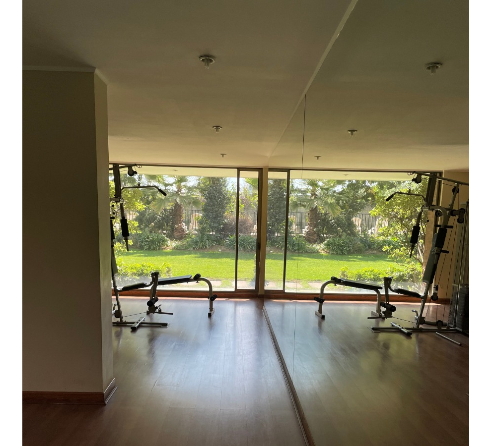 Venta Departamento N 4D 3B 2E 1B Vaticano - Las Condes