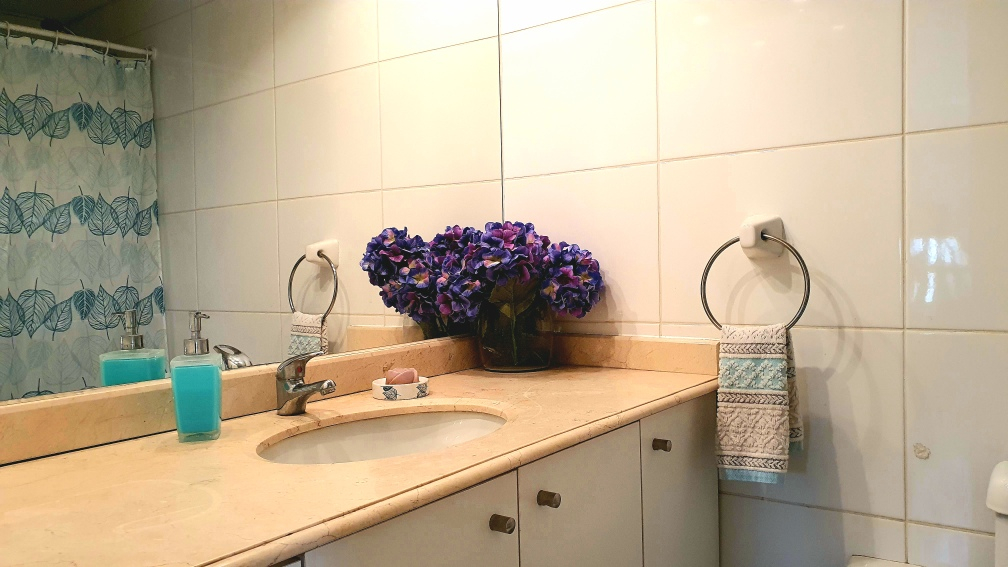 Arriendo Departamento SP 2D 2B 1E 1B Los Leones - Providencia