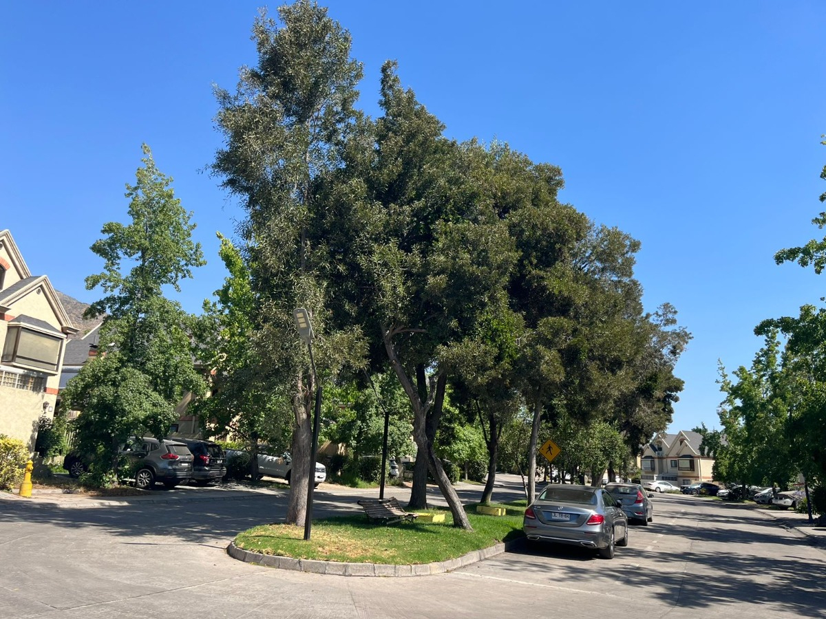 Venta Casa 5D San Carlos de Apoquindo - Las Condes