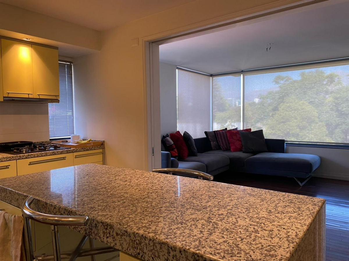 Venta Departamento NO 2D en suite Walk-in cl&oacute;set 2B 1E Parque Bicentenario - Vitacura