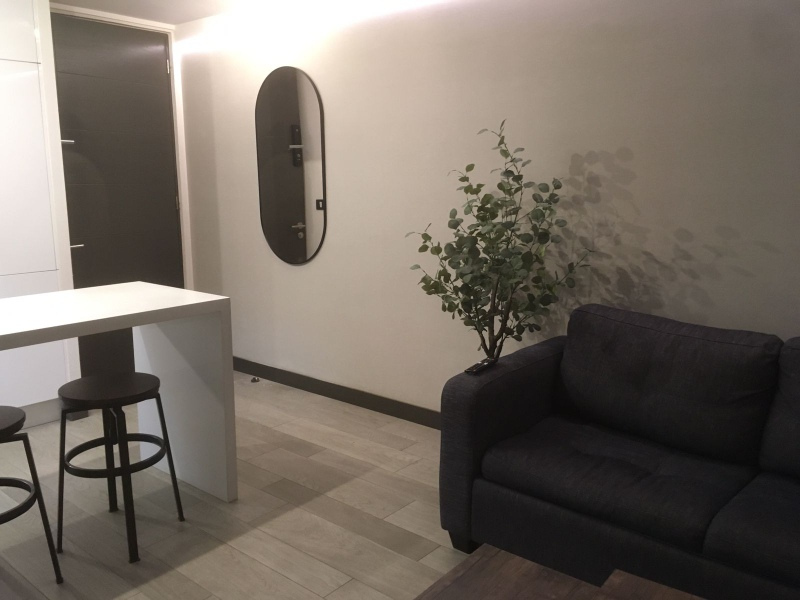 Arriendo Departamento 1D 1B 1E 1B San Dami&aacute;n - Las Condes