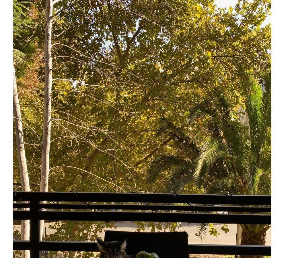 Venta Departamento 3D en suite Walk-in cl&oacute;set 3B 2E 1B Metro Tobalaba - Mall Costanera - Providencia