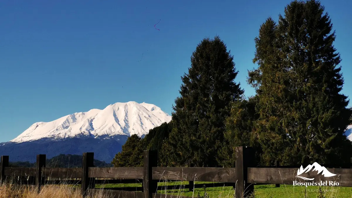 Parcela Bosque Nativo y R&iacute;o con Rol propio 5000m - Puerto Varas