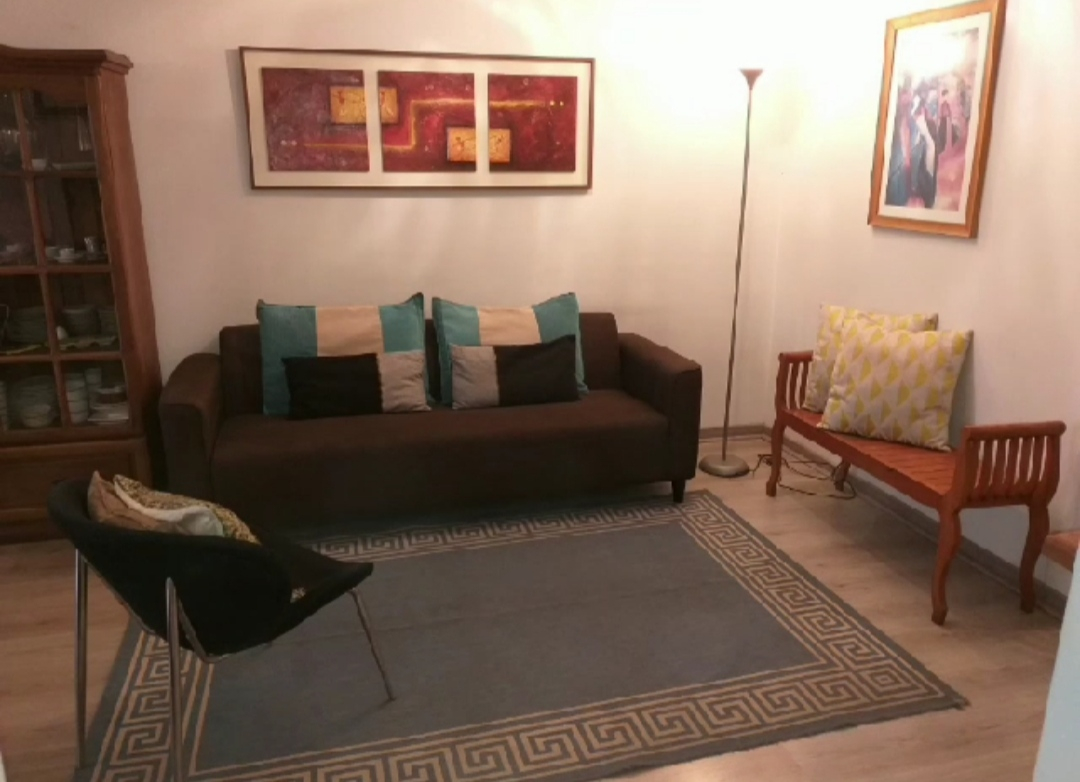 Arriendo Departamento 3D 2B 1E 1B In&eacute;s de Su&aacute;rez - Providencia
