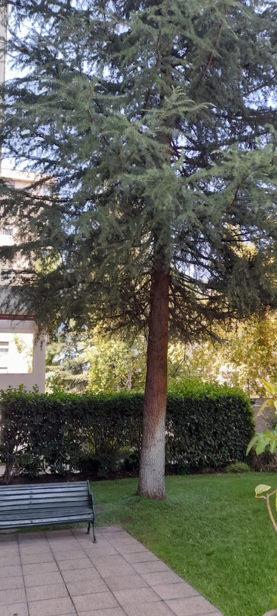 Venta Departamento 4D Rotonda Atenas - Las Condes