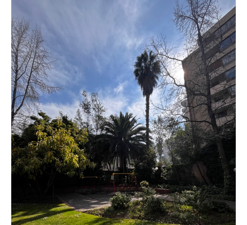 Arriendo Departamento NP 3D 2B 2E 1B Los Leones - Providencia