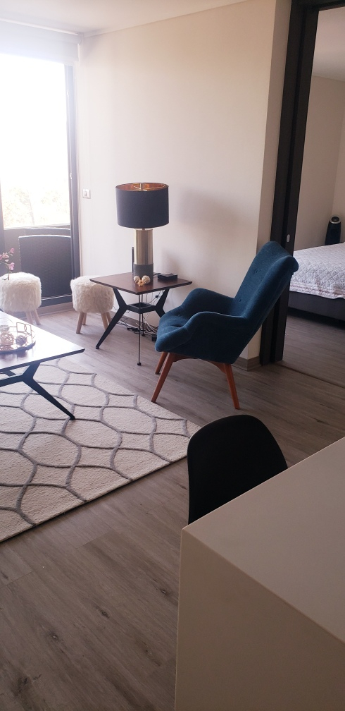 Arriendo Departamento 1D 1B 1E 1B Los Leones - Providencia