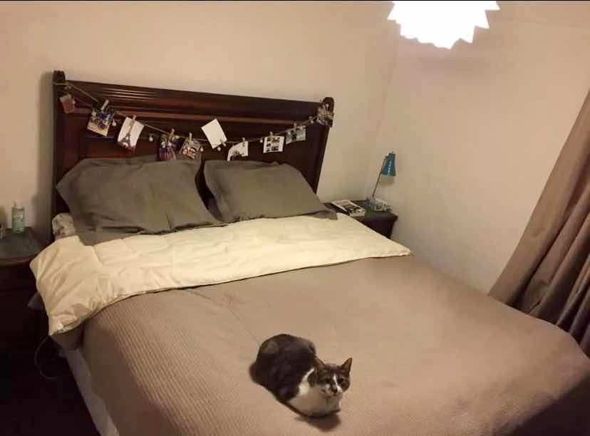 Venta Departamento 3D 1B 1E In&eacute;s de Su&aacute;rez - Providencia