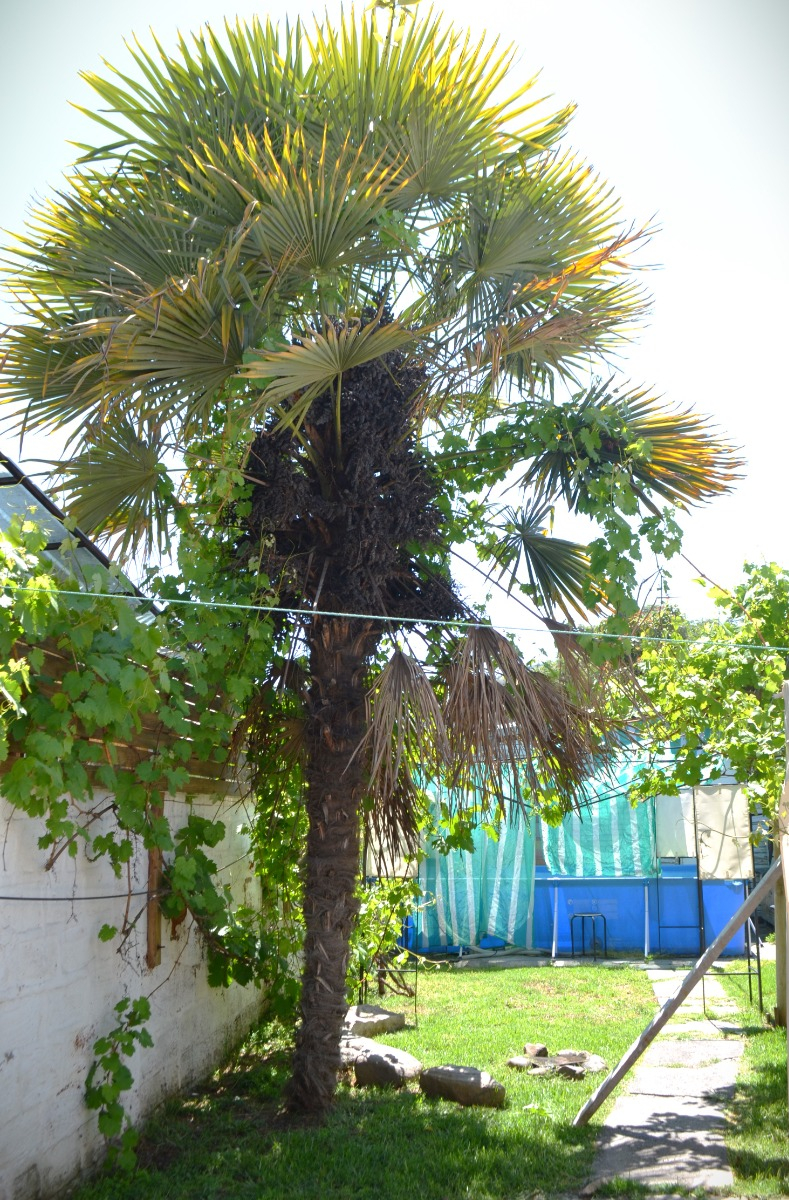 Venta Casa 3D Col&oacute;n Oriente - Vital Apoquindo - Las Condes