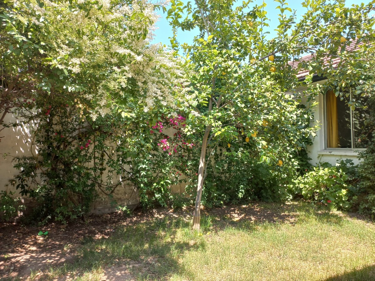 Venta Casa 5D en suite Walk-in cl&oacute;set 3B 1E 1Bd Parque Padre Alberto Hurtado - Las Condes