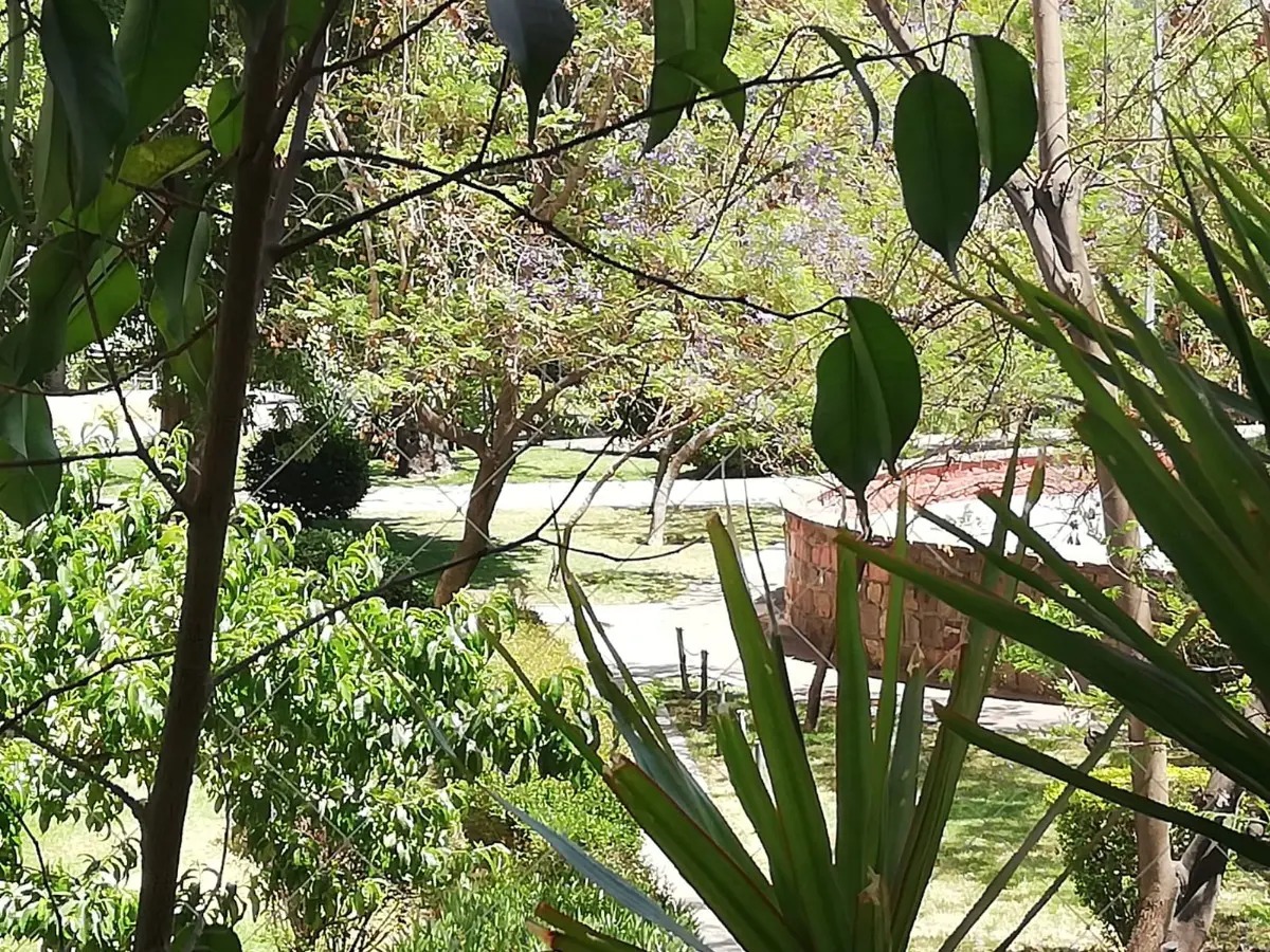 Venta Departamento NO 4D 2B 1E 1B Pedro de Valdivia - Providencia