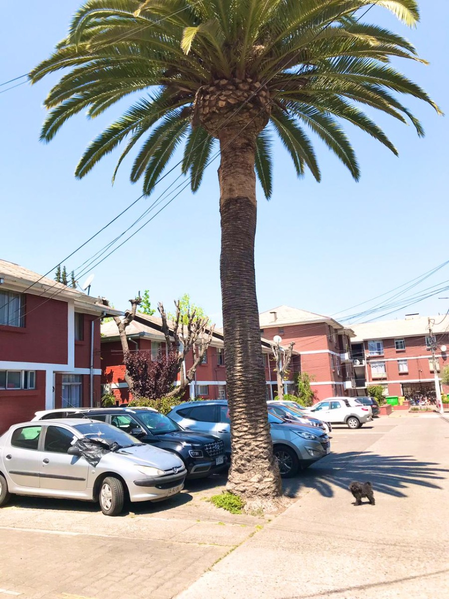 Venta Casa NOSP 4D en suite 3B 1E 1B Metro Sim&oacute;n Bolivar - La Reina