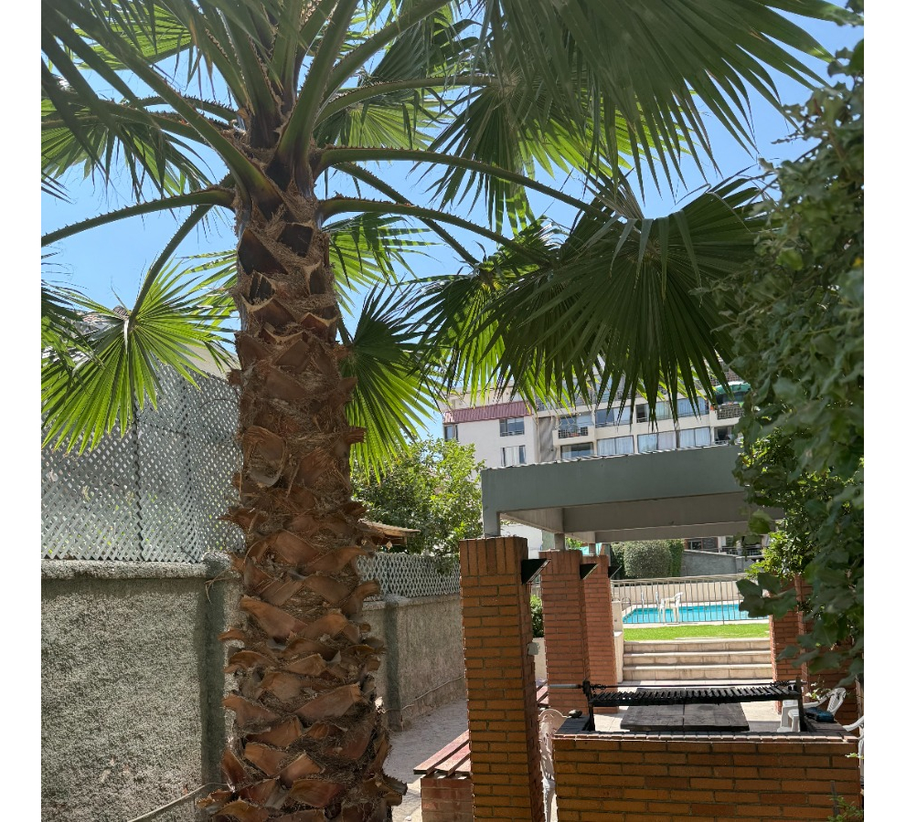 Venta Departamento SP 4D en suite Walk-in cl&oacute;set 3B 2E 1B Metro &Ntilde;u&ntilde;oa - &Ntilde;u&ntilde;oa