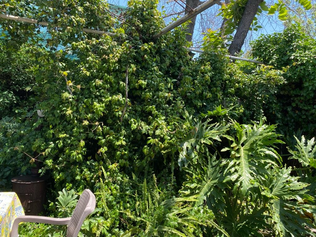 Venta Casa NP 3D en suite 2B 3E 1B Sebasti&aacute;n Elcano - Las Condes