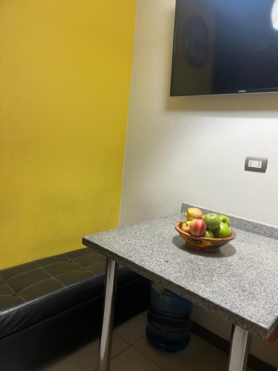 Arriendo Departamento NO 4D en suite 3B 2E 1B Los Leones - Providencia