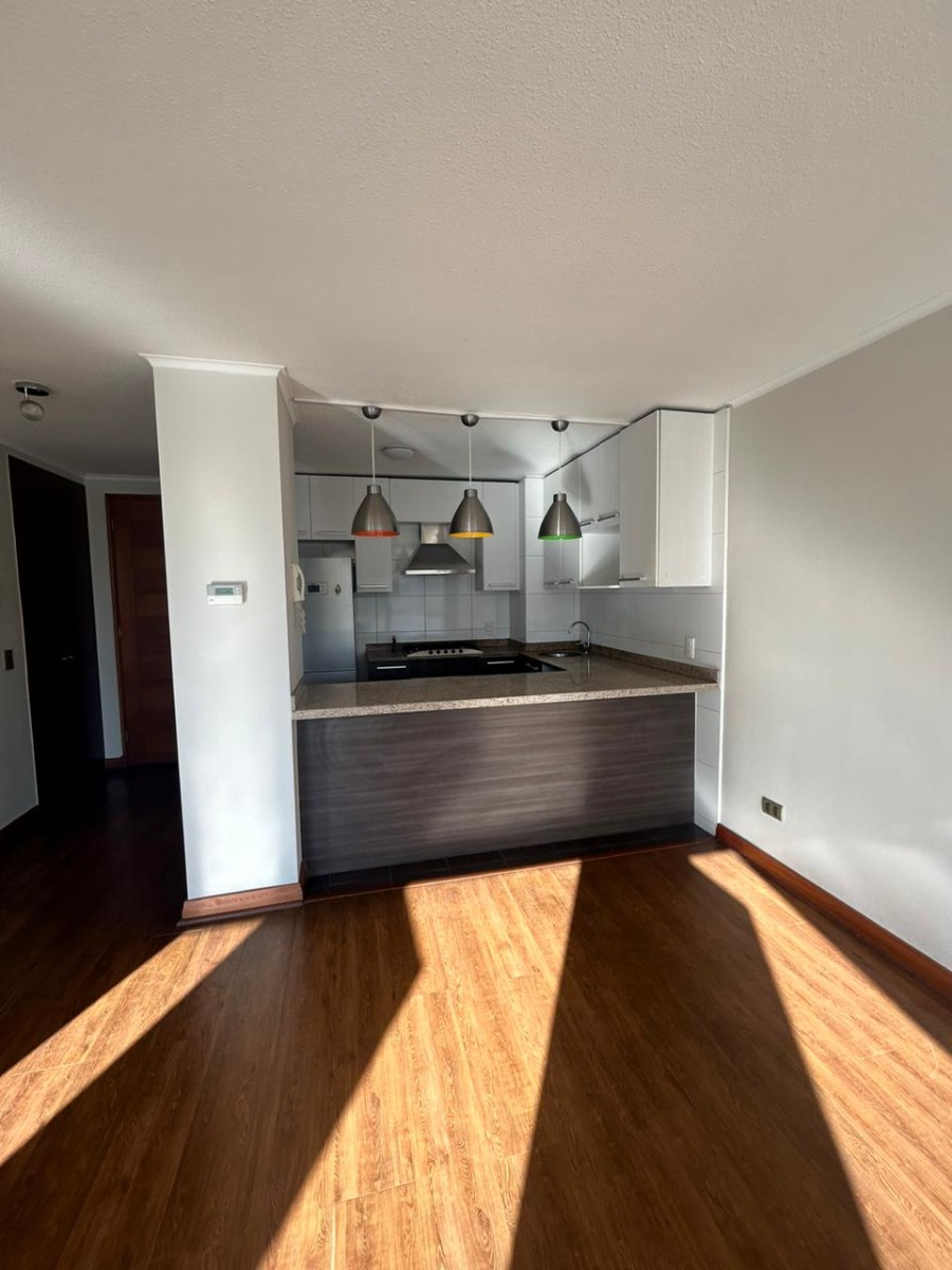 Arriendo Departamento 2D P&iacute;o XI - Vitacura