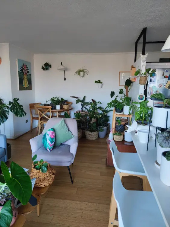 Venta Departamento 2D Barrio Italia - Providencia