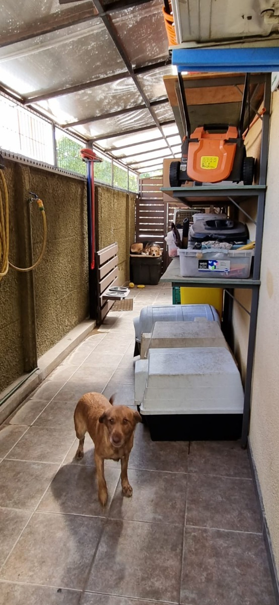 Venta Casa NOSP 4D en suite 4B 2E 1B San Carlos de Apoquindo - Las Condes