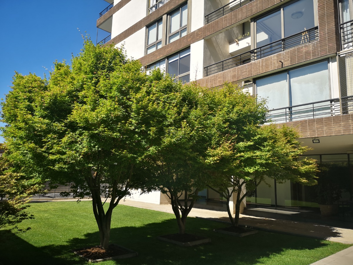 Venta Departamento 4D Sebasti&aacute;n Elcano - Las Condes