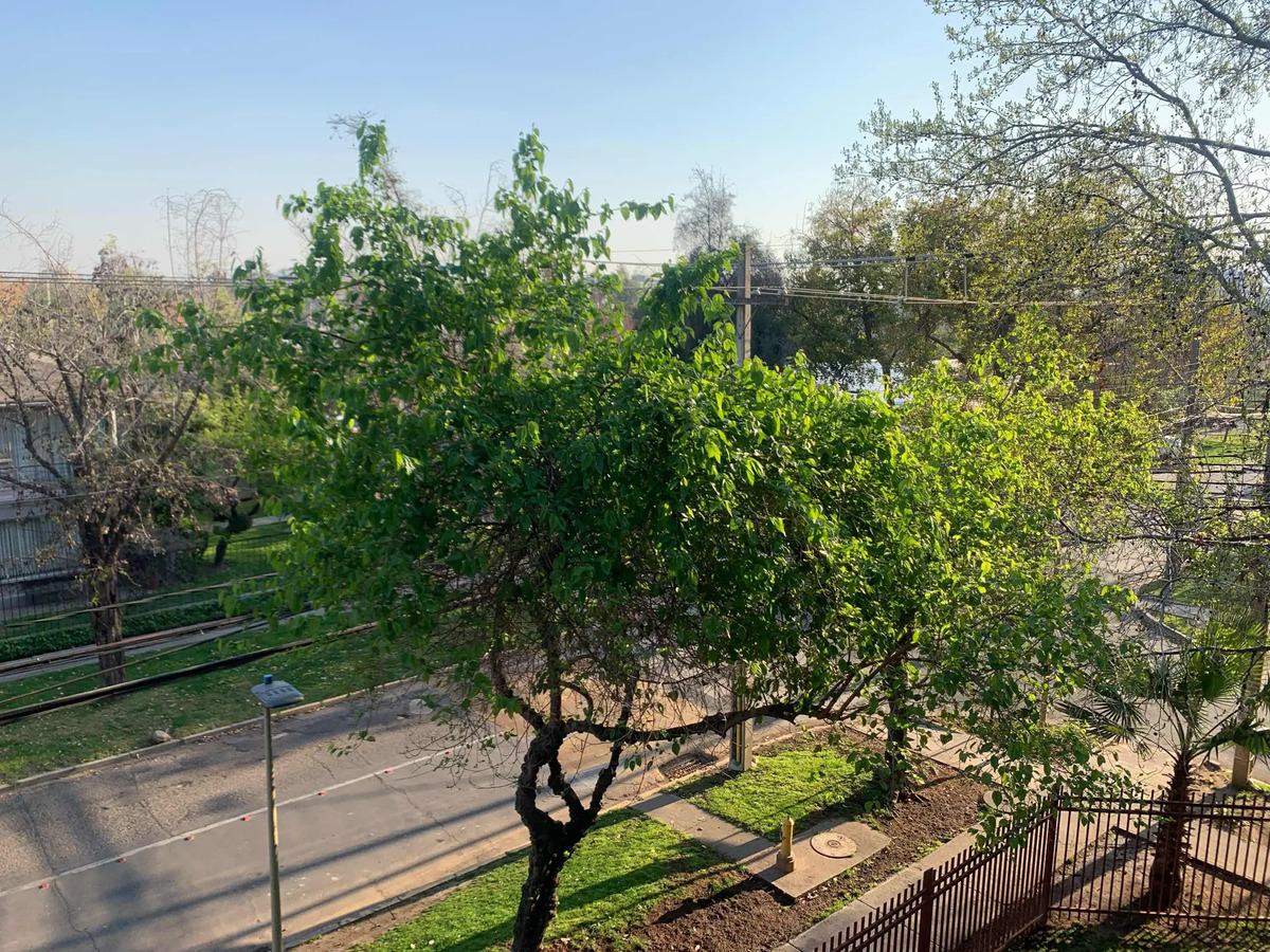 Venta Departamento 3D 2B 1E Sebasti&aacute;n Elcano - Las Condes