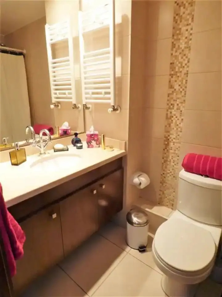 Arriendo Departamento SP 1D en suite Walk-in cl&oacute;set 1B 1E Metro Hernando de Magallanes - Las Condes