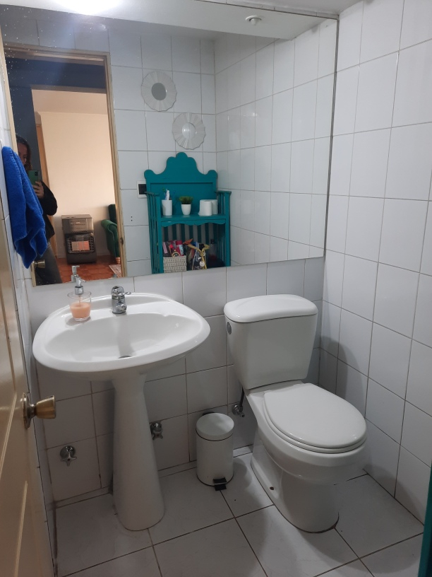 Venta Departamento 2D 2B 1E In&eacute;s de Su&aacute;rez - Providencia