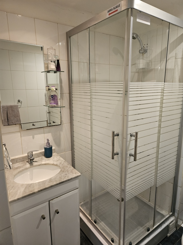 Venta Departamento 1D Los Leones - Providencia