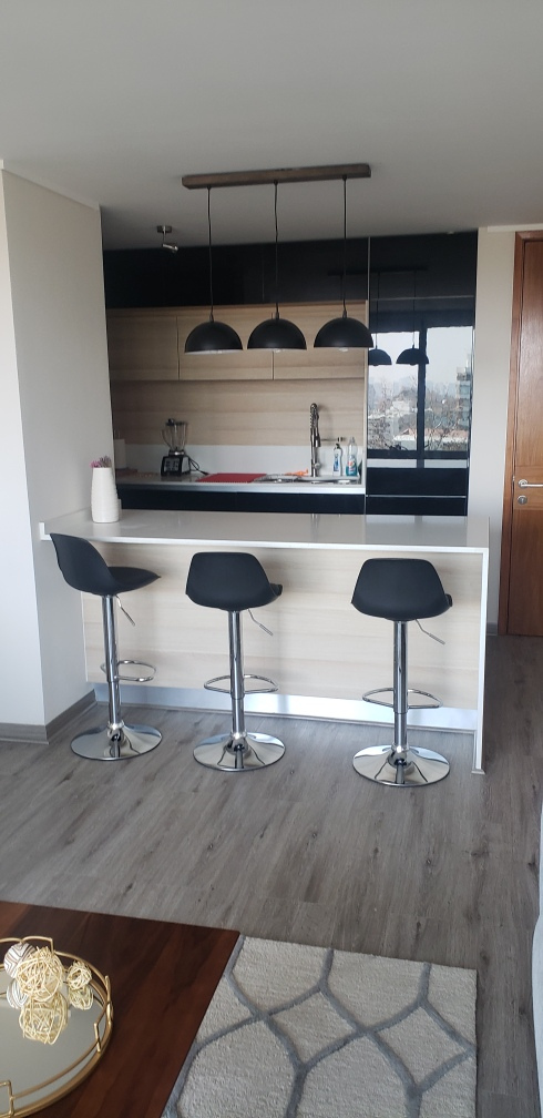 Arriendo Departamento 1D 1B 1E 1B Los Leones - Providencia