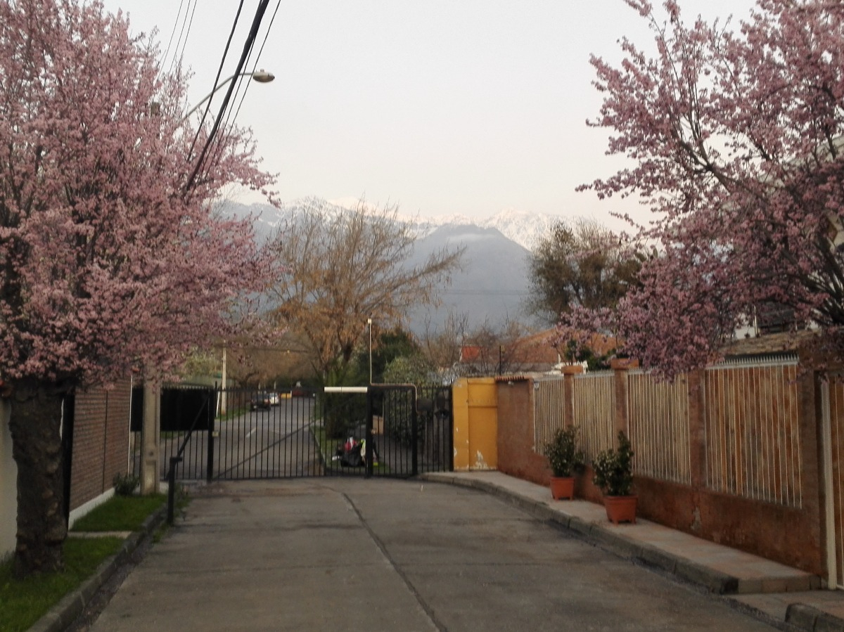 Arriendo Casa NO 5D 2B 1E Francisco de Villagra - La Reina