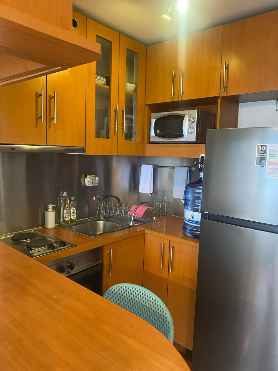 Venta Departamento NP 1D en suite Walk-in cl&oacute;set 1B  - Providencia