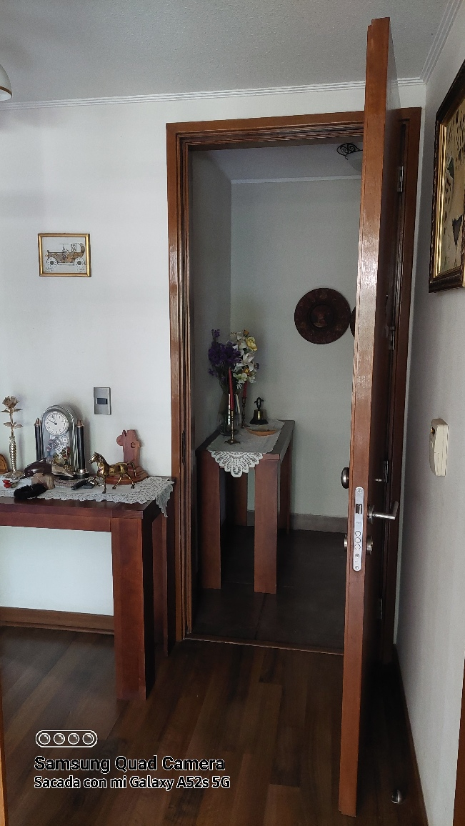 Venta Departamento 3D 3B 1E Blest Gana - La Reina