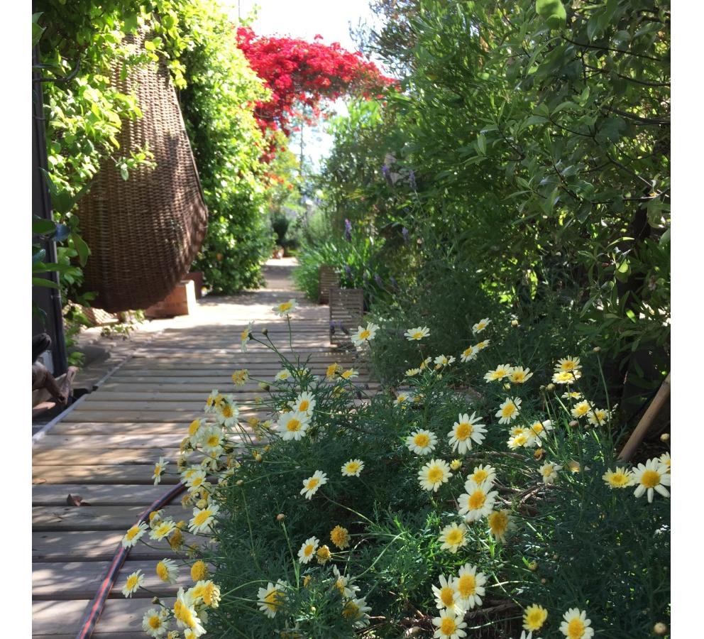 Arriendo Departamento NO 4D en suite Walk-in cl&oacute;set 3B 1E 1B Parque Bicentenario - Vitacura