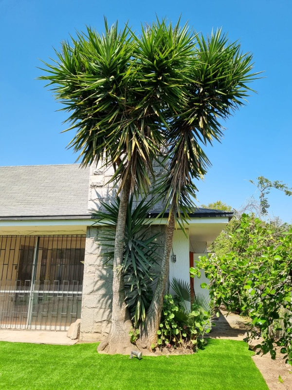 Venta Casa 6D Metro Manquehue - Apumanque - Las Condes